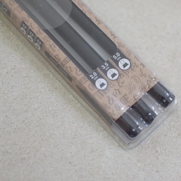 Photo d'un lot de 3 stylos noirs calligraphie