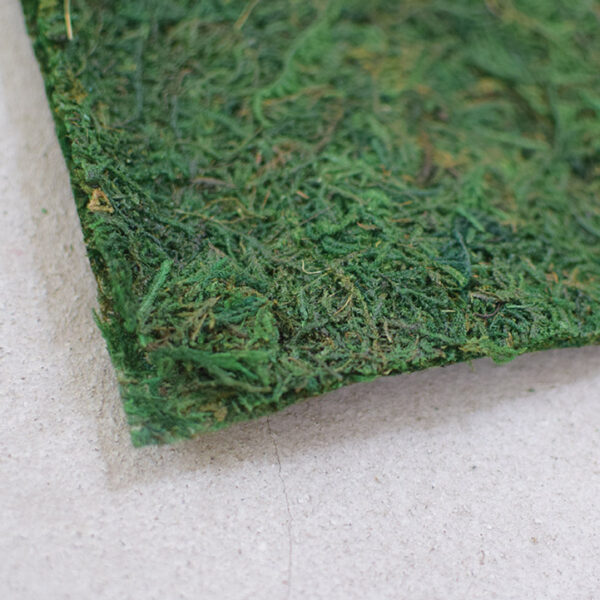 Plaque de mousse végétale stabilisée, d'un vert foncée, de 30 cm sur 20 cm.