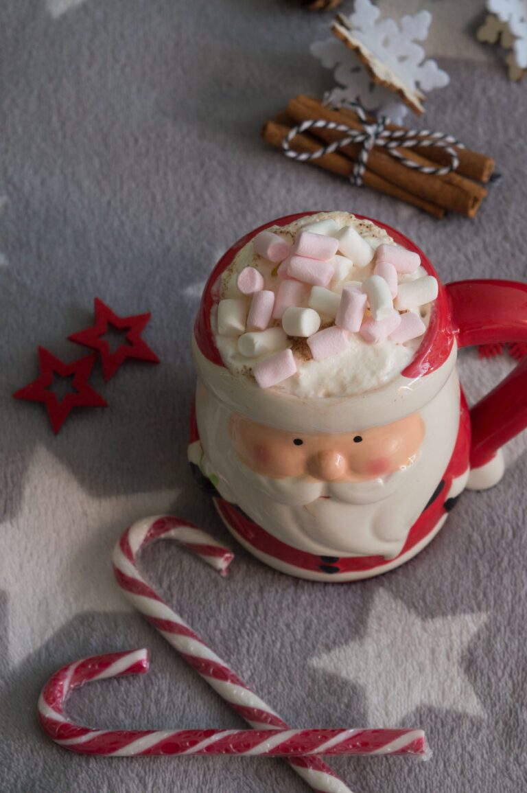 noel-mug-tasse-pere-noel-rouge-blanc-decoration-chocolatchaud-chocolat-diy-lifestyle-créativité-feelgood