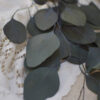 eucalyptus-populus-fleurs-séchées-noel-diy-diynoel-tutonoel-diycouronne-boxhellokit-hellokit-activitésmanuelles-