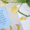 Box DIY n°26 : Fabriquer un Sun Catcher et faire de la relaxation – Image 4