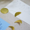 Box DIY n°26 : Fabriquer un Sun Catcher et faire de la relaxation – Image 6