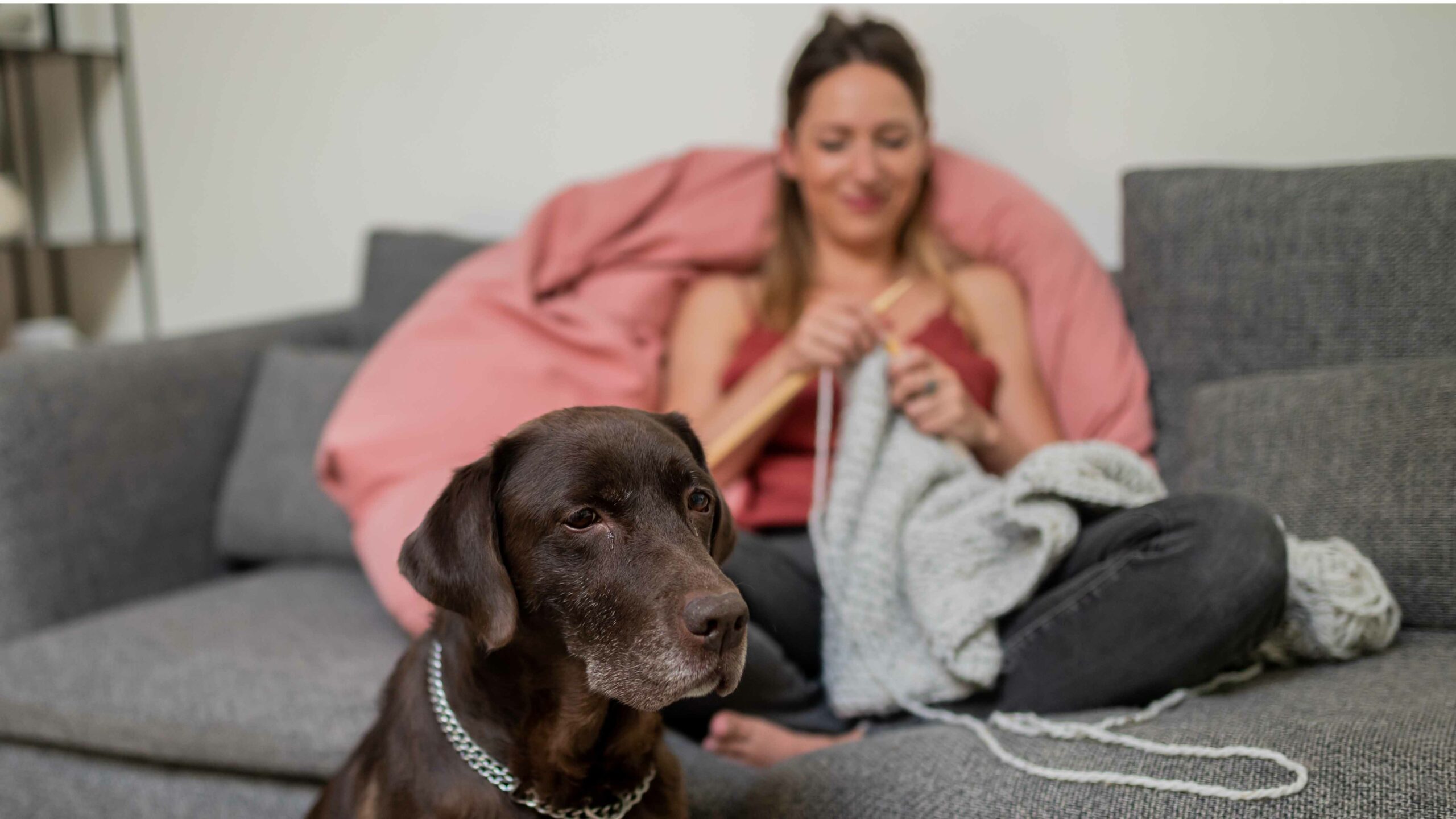 "Femme tricotant une écharpe grise sur un canapé, moment cocooning d’automne avec son chien"