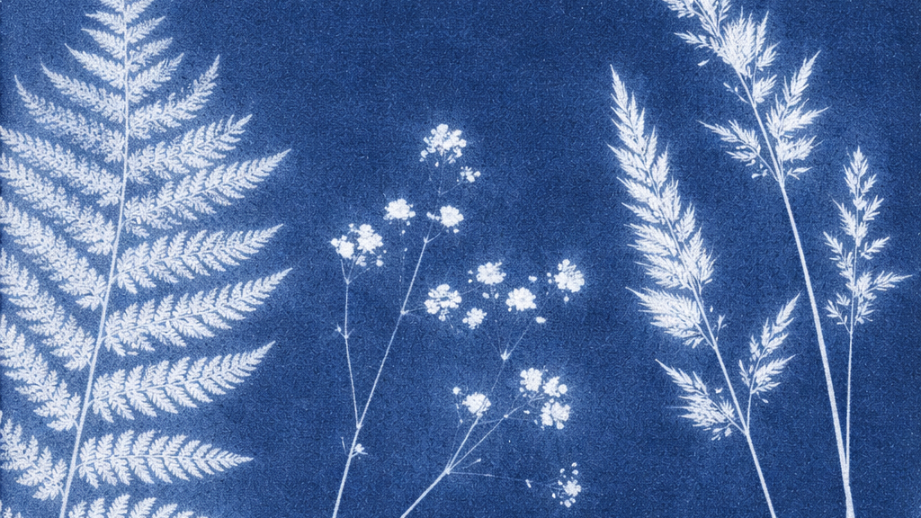 box- kit- créatif- hello kit- activités- manuelles- loisirs- cynatopie- fleurs- feuilles- nature- idées- sortie- printemps- diy- do it yourself- slow