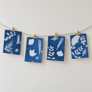 Quatre cyanotypes aux empreintes végétales bleues et blanches, suspendus à une cordelette avec des pinces dorées.