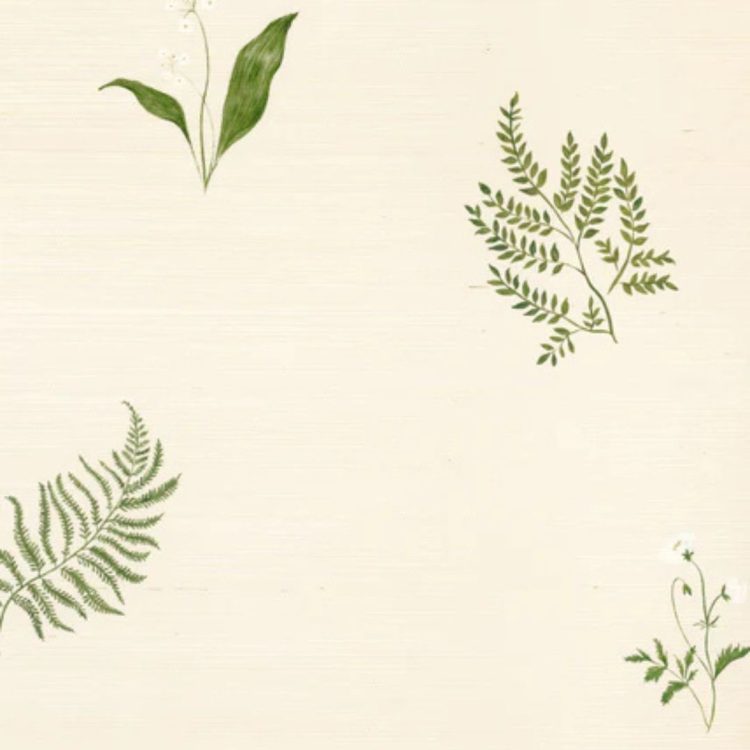 hello ki- box- créative- manuelle- herbres- fleurs- feuille- herbier- activités- loisirs- créativité- diy- do it yourself- hello kit- box- abonnement- à offrir- cadeau- femme