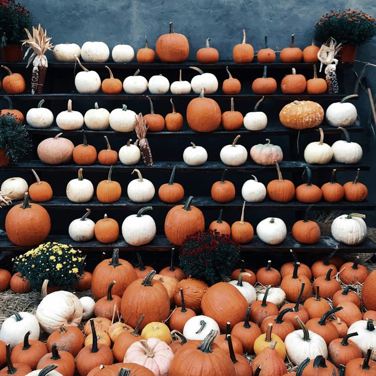Box DIY Hello Kit d’octobre – projet créatif d’automne à faire soi-même, parfait pour Halloween et les soirées cocooning